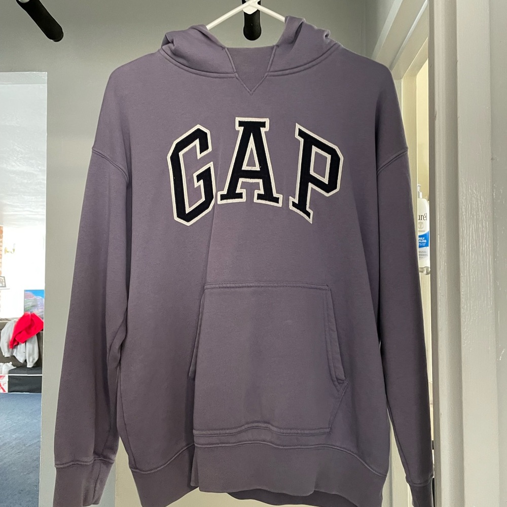 Teen Guys Gap Hoodie Size 14-16